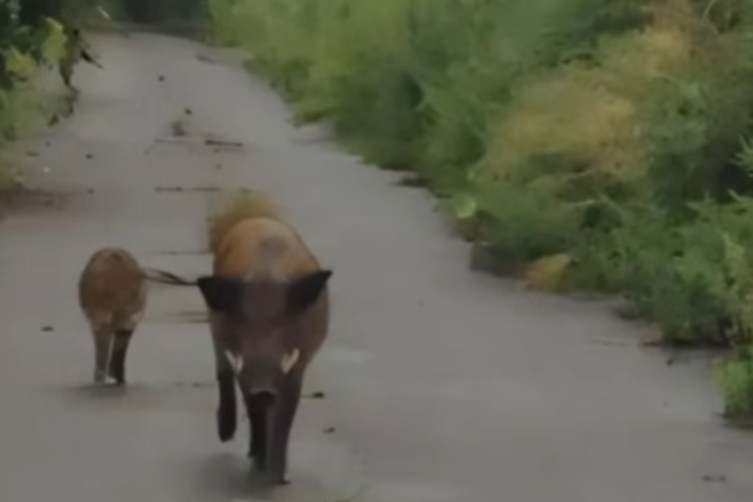 Diseño Sin Título (78)