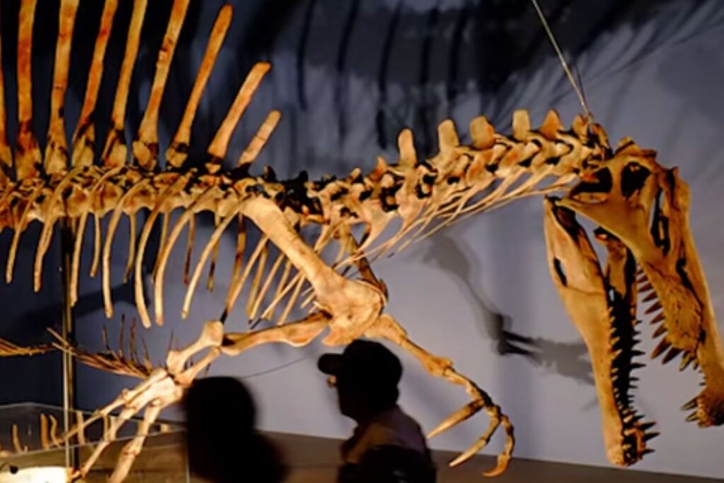 Diseño Sin Título (88)