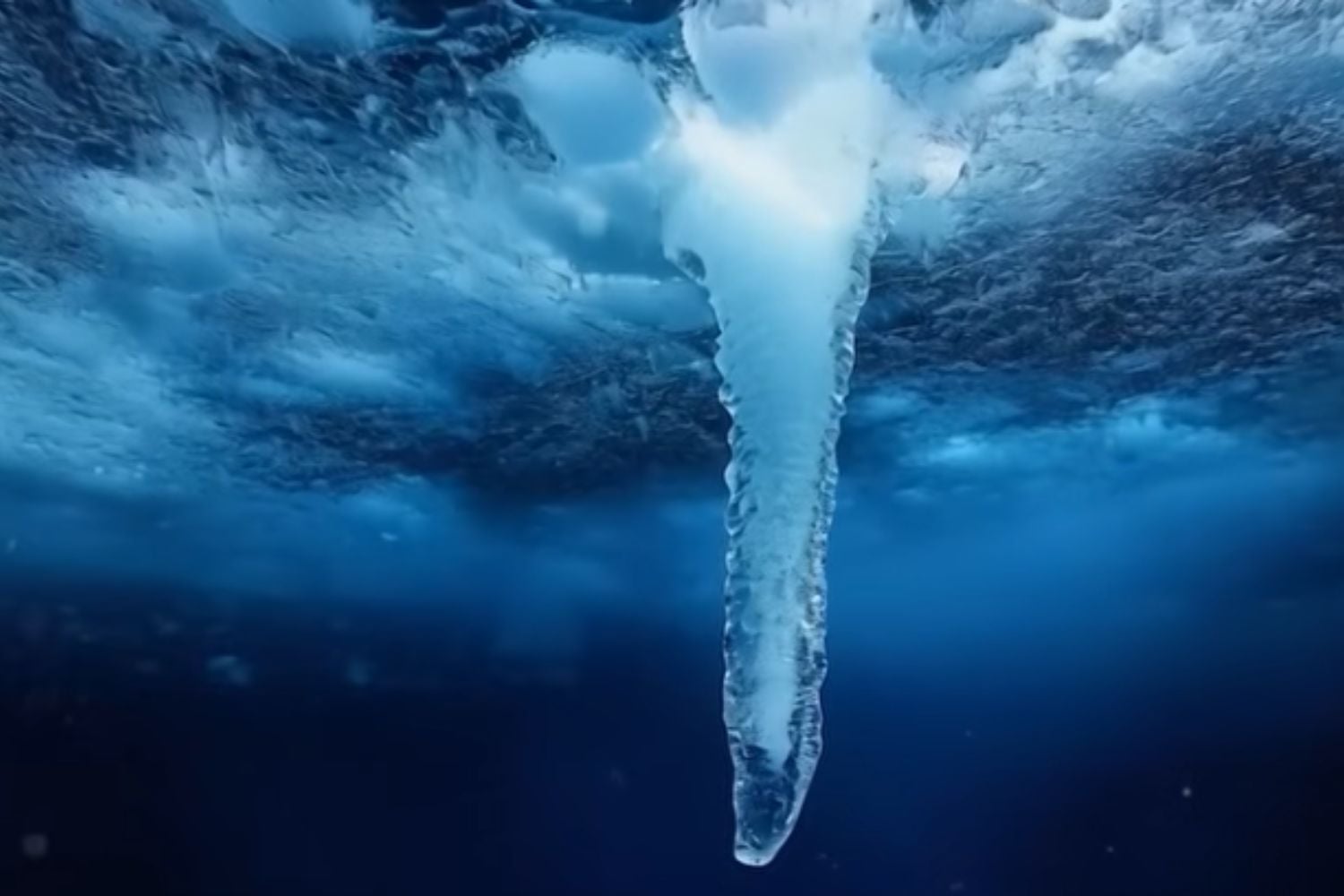 Diseño Sin Título (95)