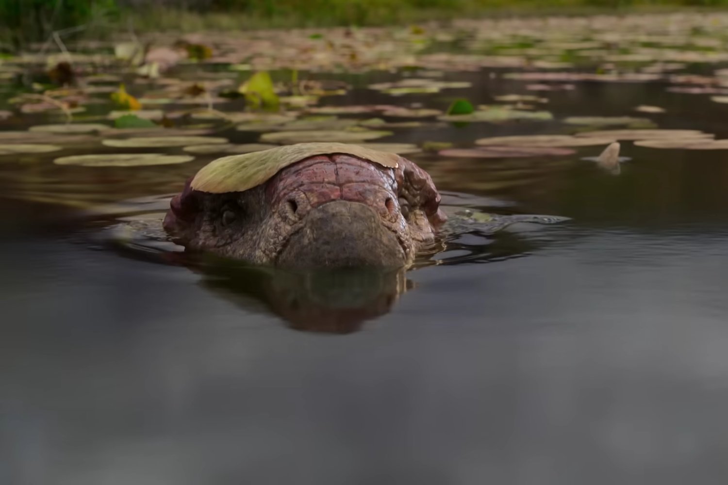 Aún no se estrenó y ya es un éxito: la serie de dinosaurios que prepara Netflix