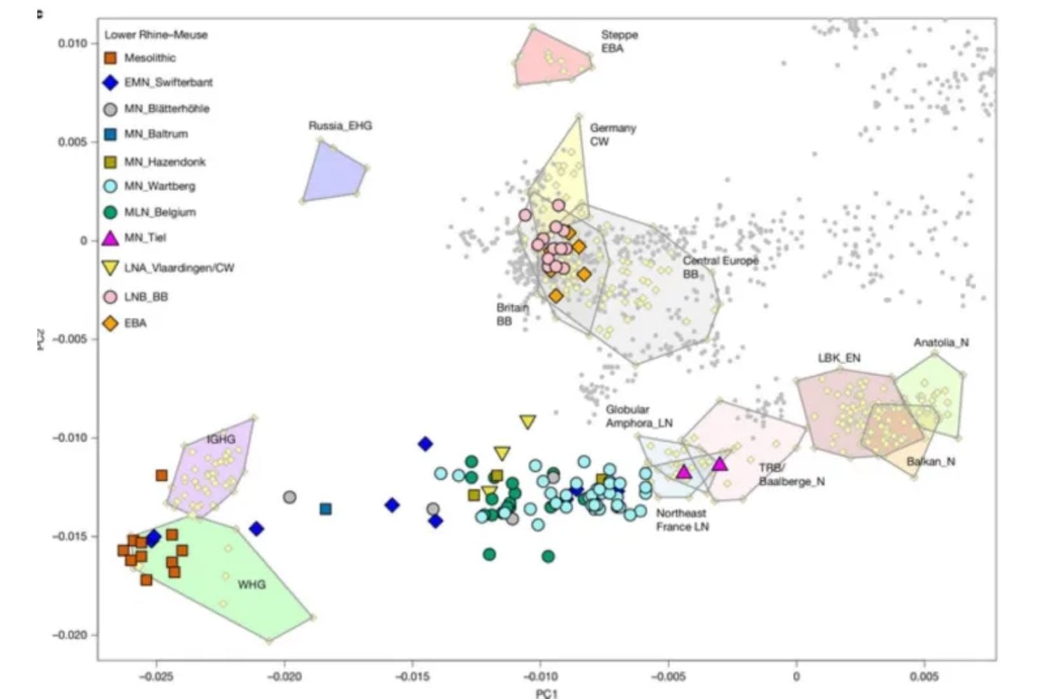 Durante miles de años los europeos creyeron tener orígenes diversos. Un enorme estudio genómico acaba de mostrar algo sorprendente: casi todos comparten raíces con antiguos agricultores de Anatolia