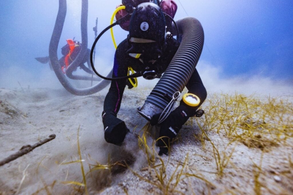 Un fragmento del Partenón ha reaparecido en el fondo del mar más de 200 años después del naufragio del barco de Lord Elgin. La pieza nunca llegó a Inglaterra y cuestiona lo que se creía sobre el rescate de 1802