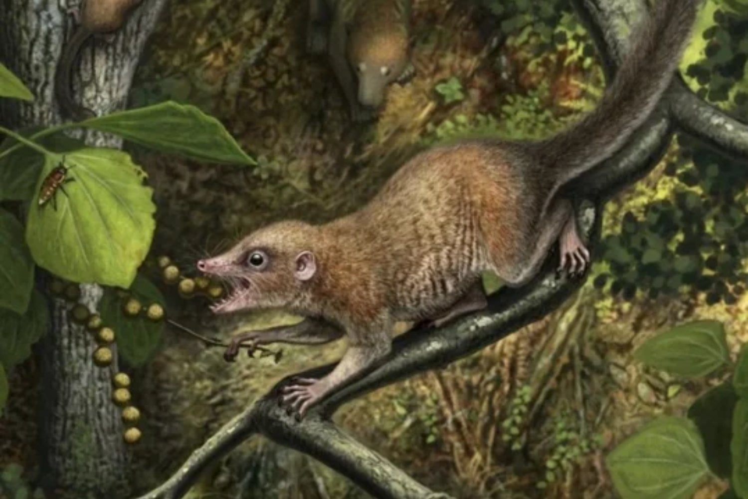 El día que cayó el meteorito que mató a los dinosaurios también cambió nuestro destino. Un pequeño mamífero de 50 gramos aprovechó el caos para conquistar América