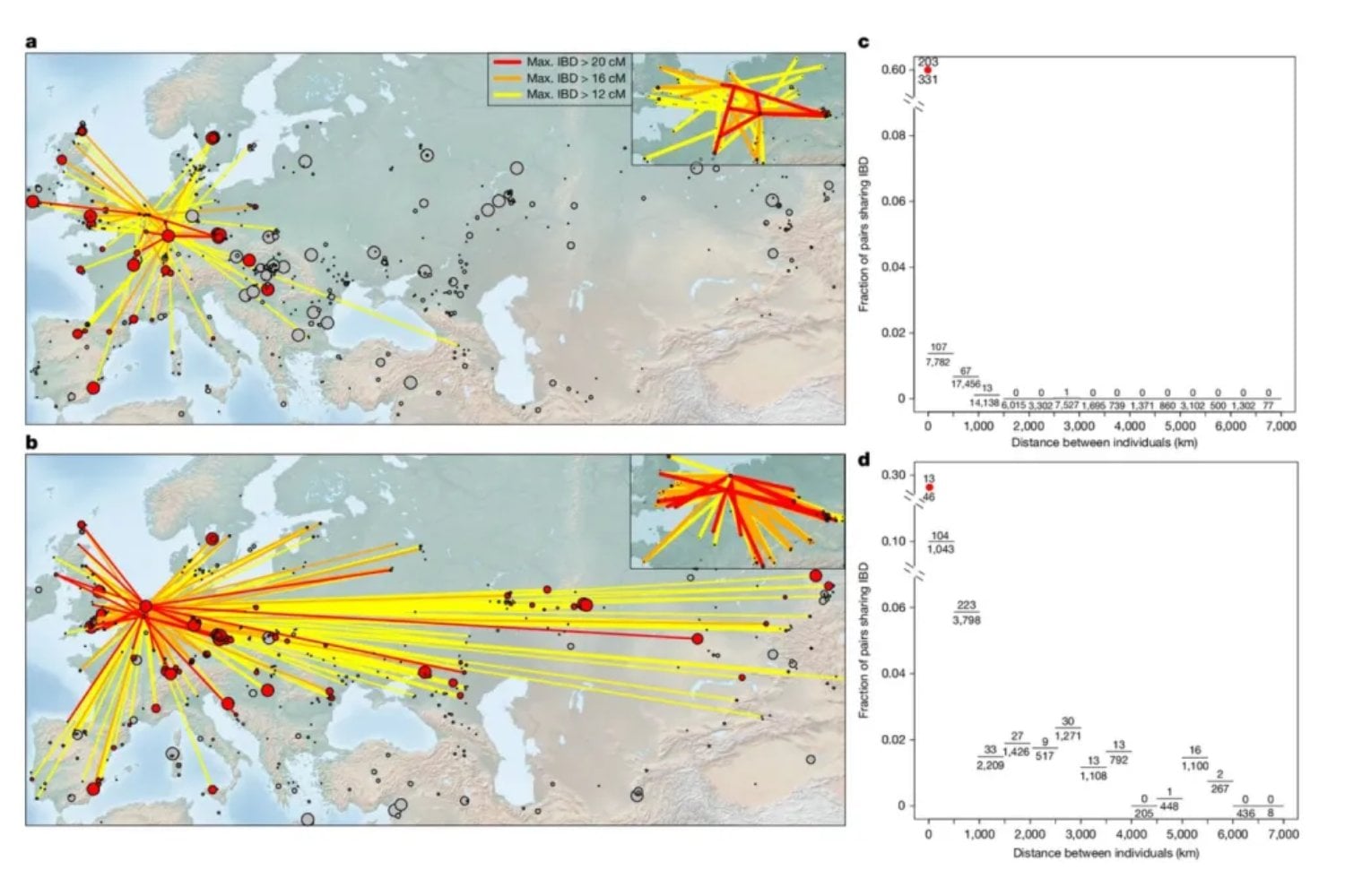 Durante miles de años los europeos creyeron tener orígenes diversos. Un enorme estudio genómico acaba de mostrar algo sorprendente: casi todos comparten raíces con antiguos agricultores de Anatolia