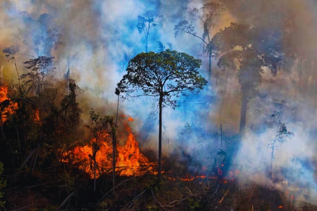 La naturaleza siempre tuvo un mecanismo silencioso para repararse sola. Un estudio global detecta que ese sistema se está frenando y ya afecta a más de medio millón de ecosistemas en todo el mundo