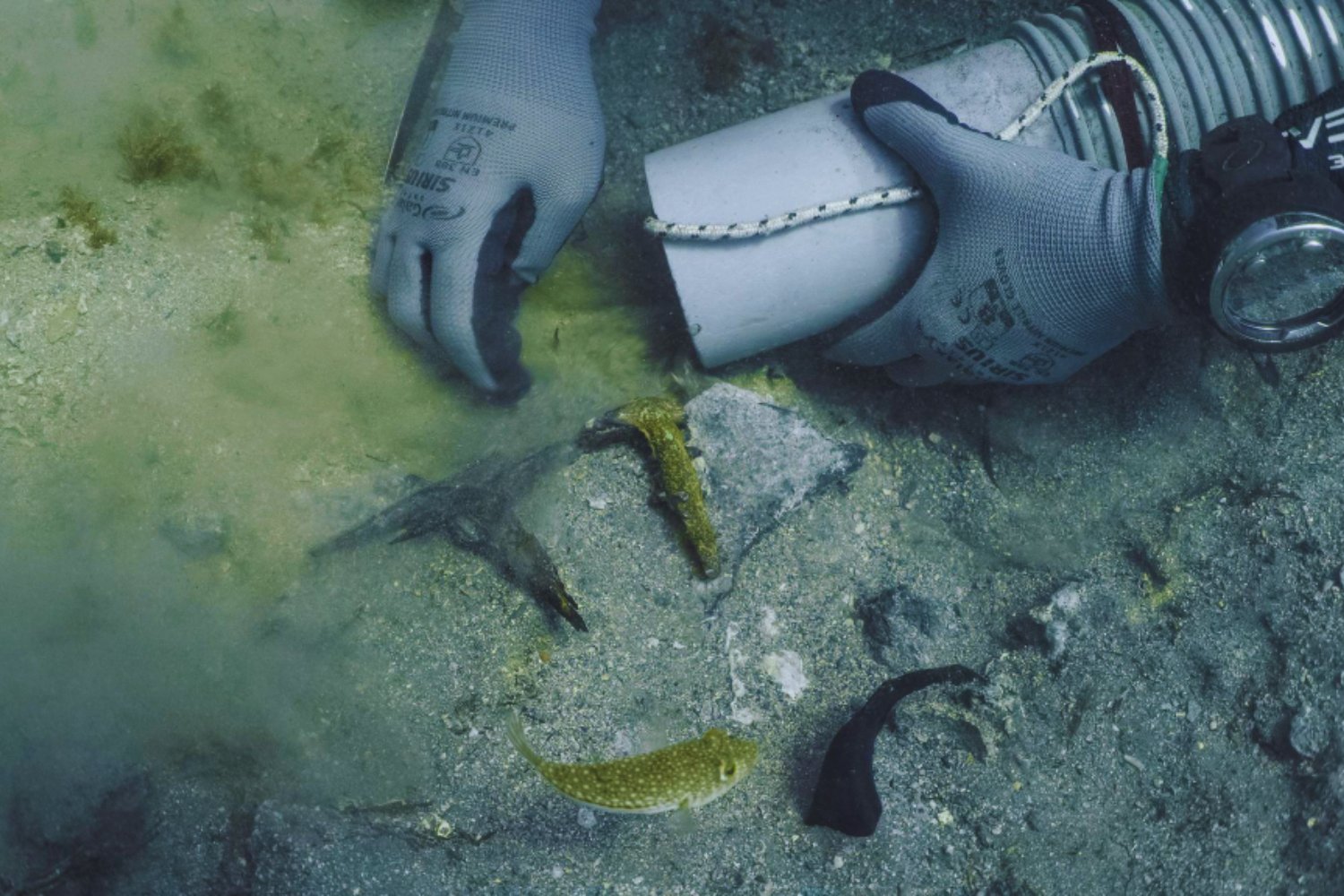 Un fragmento del Partenón ha reaparecido en el fondo del mar más de 200 años después del naufragio del barco de Lord Elgin. La pieza nunca llegó a Inglaterra y cuestiona lo que se creía sobre el rescate de 1802