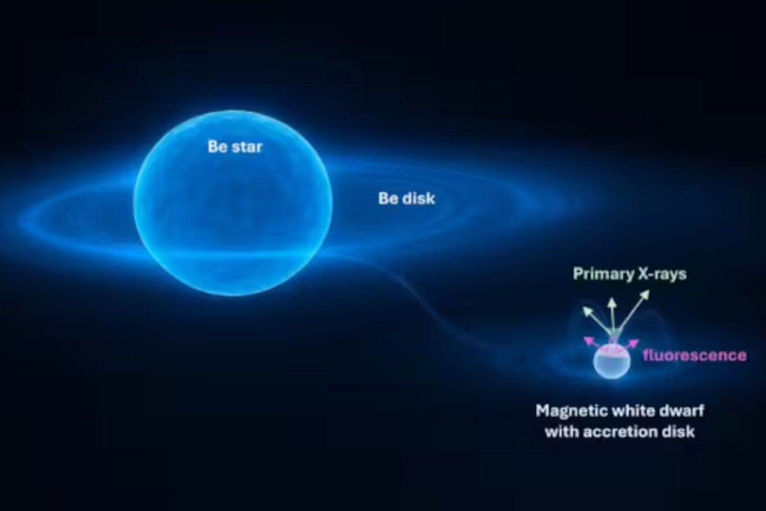 Un misterio astronómico que desconcertó a la ciencia durante casi 50 años acaba de resolverse gracias a Japón. γ Cassiopeia no era una estrella “anómala”: escondía un objeto extremo que reescribe lo que sabemos sobre sus rayos X