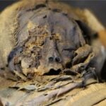 Diseño Sin Título (17)