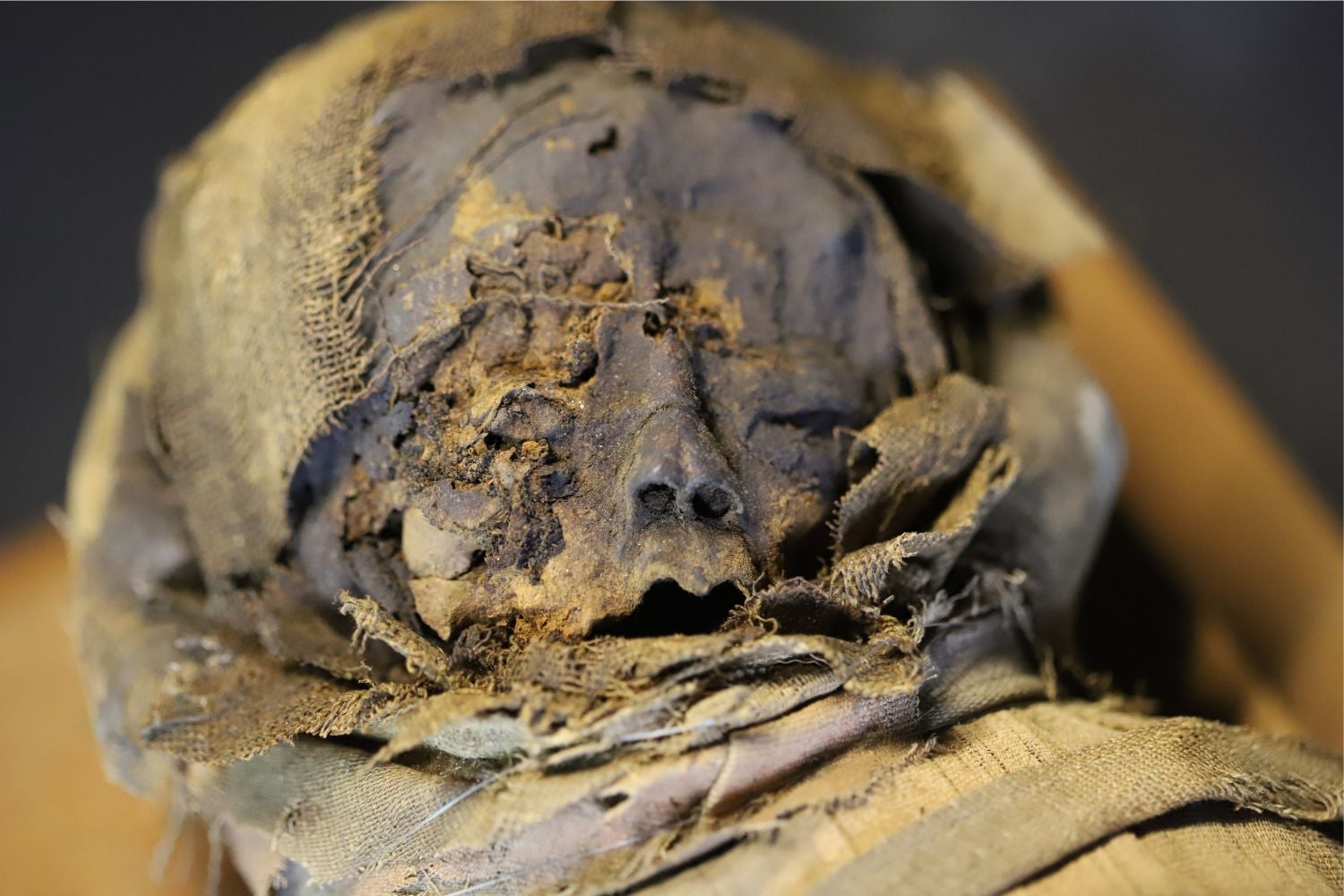 Diseño Sin Título (17)