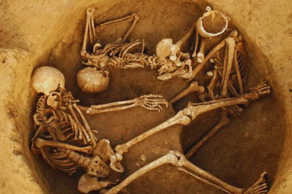 Durante miles de años los europeos creyeron tener orígenes diversos. Un enorme estudio genómico acaba de mostrar algo sorprendente: casi todos comparten raíces con antiguos agricultores de Anatolia