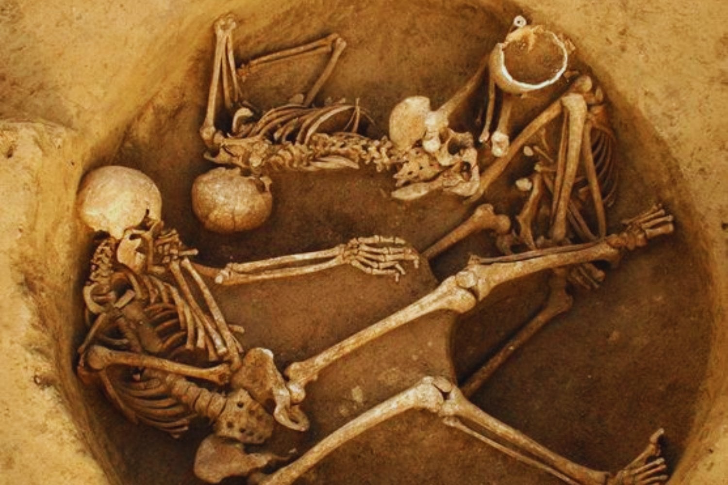 Durante miles de años los europeos creyeron tener orígenes diversos. Un enorme estudio genómico acaba de mostrar algo sorprendente: casi todos comparten raíces con antiguos agricultores de Anatolia