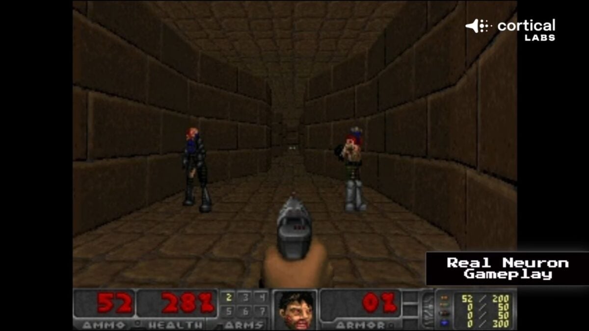 Dentro de una computadora experimental viven 200.000 neuronas humanas cultivadas en laboratorio. Al principio disparaban contra las paredes, pero meses después aprendieron a jugar Doom