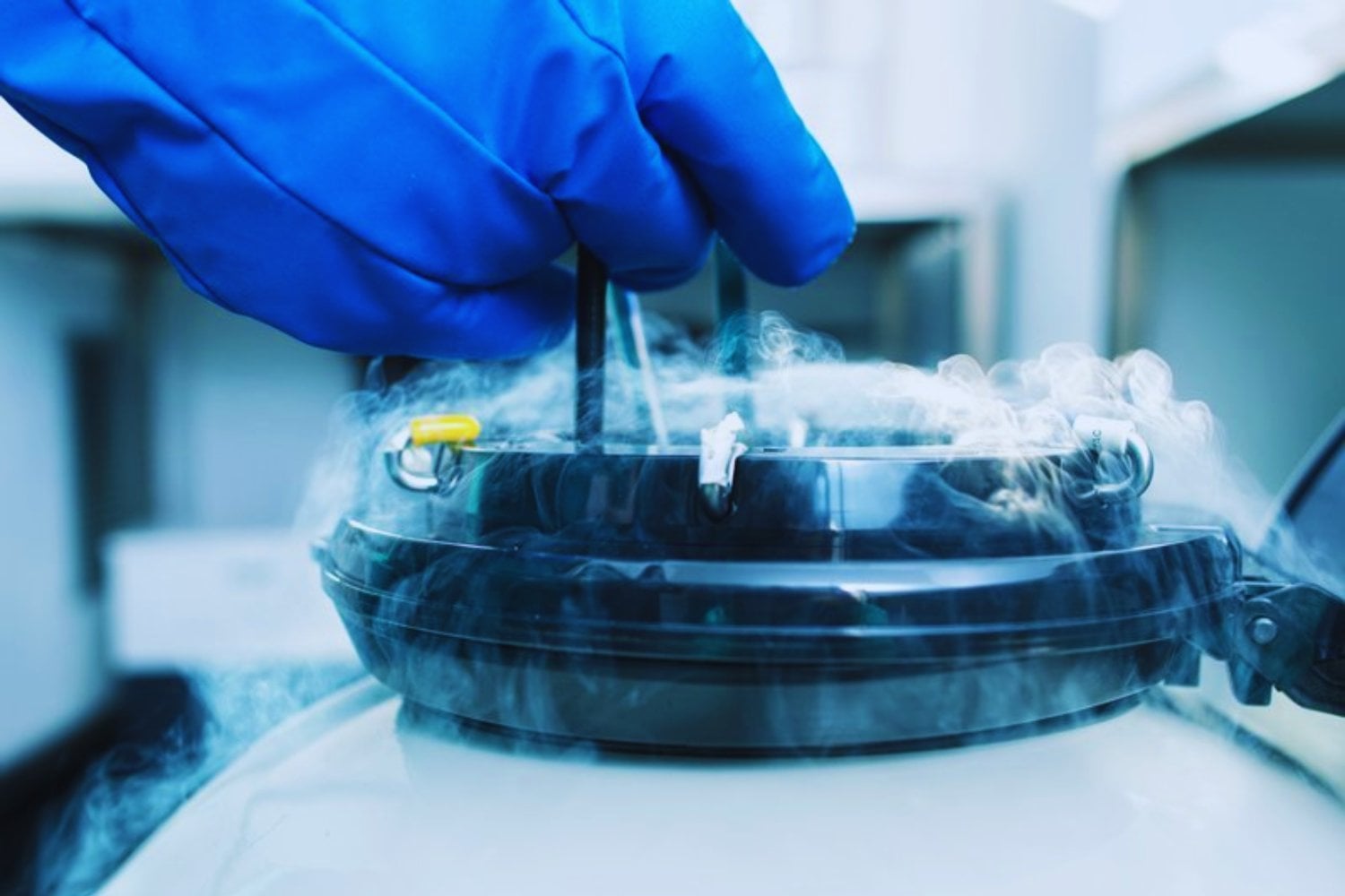 Lo que parecía ciencia ficción acaba de dar un paso incómodo hacia la realidad. Un equipo alemán logró que tejido cerebral de ratón recuperara actividad funcional tras haber sido vitrificado a -196 °C
