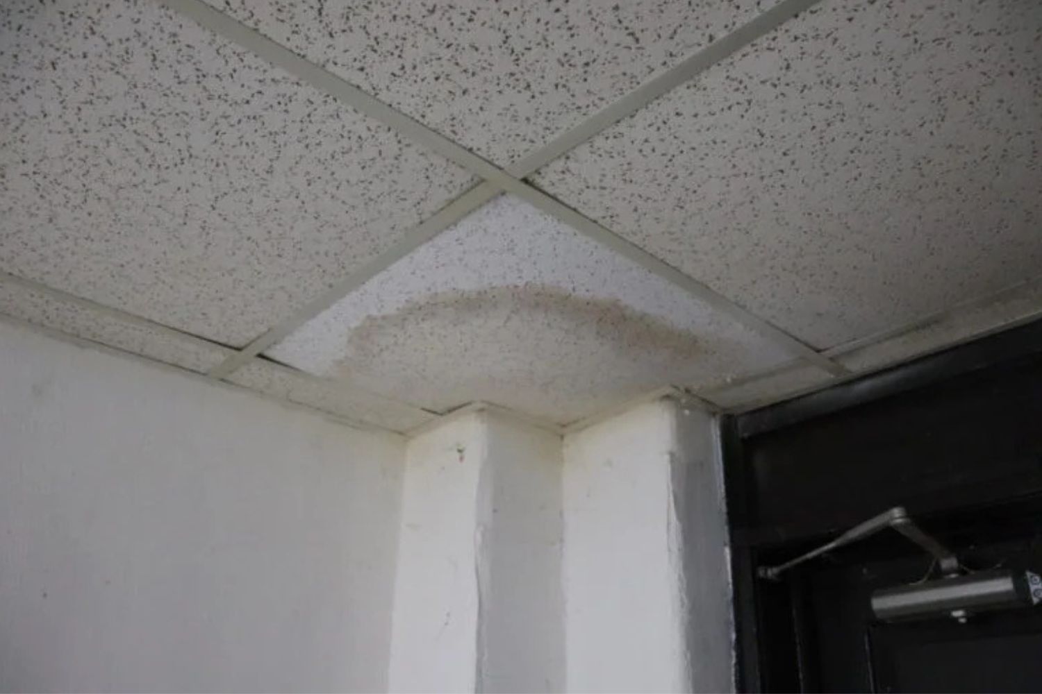 Diseño Sin Título 2026 03 03t214815.283