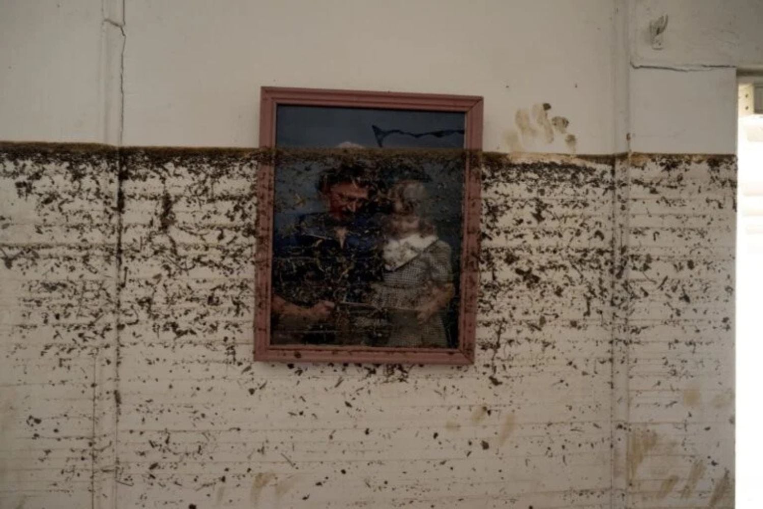 Diseño Sin Título 2026 03 03t220127.213