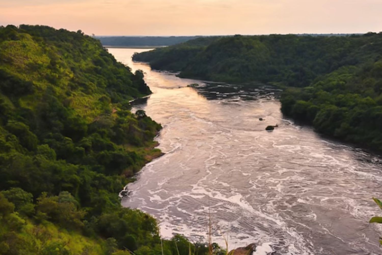 Diseño Sin Título 2026 03 04t101302.385