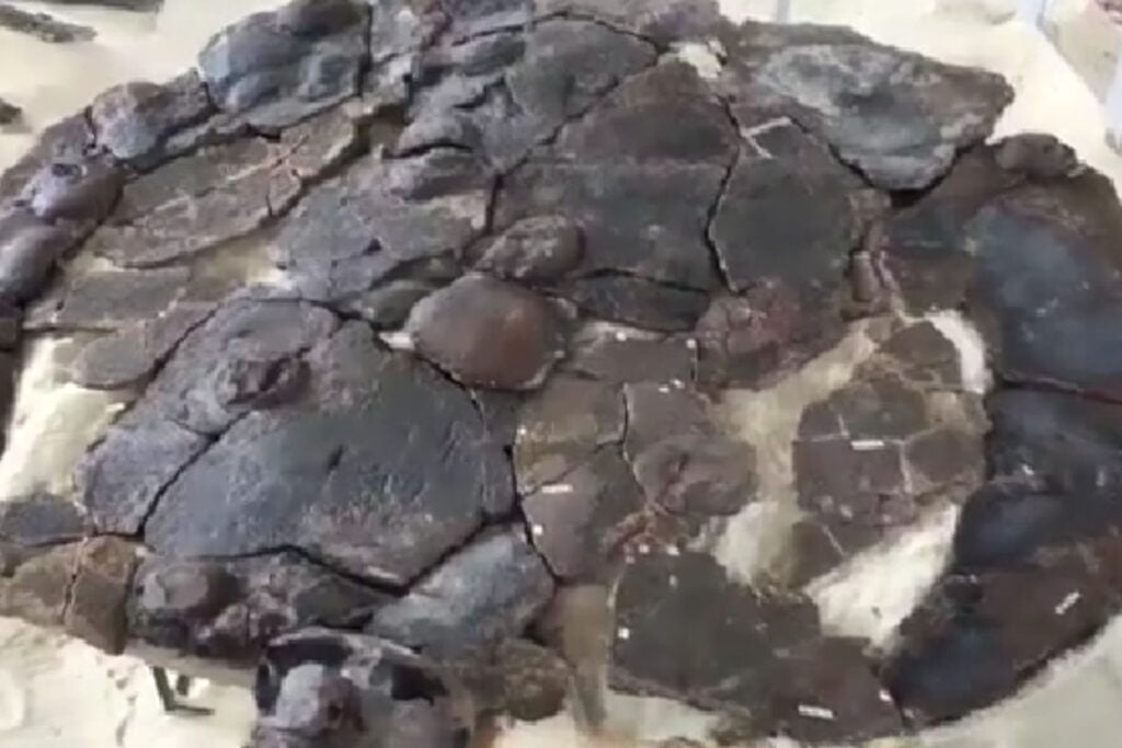 Diseño Sin Título 2026 03 04t103636.678