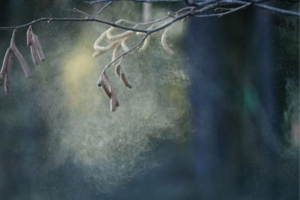 Diseño Sin Título 2026 03 05t060018.018