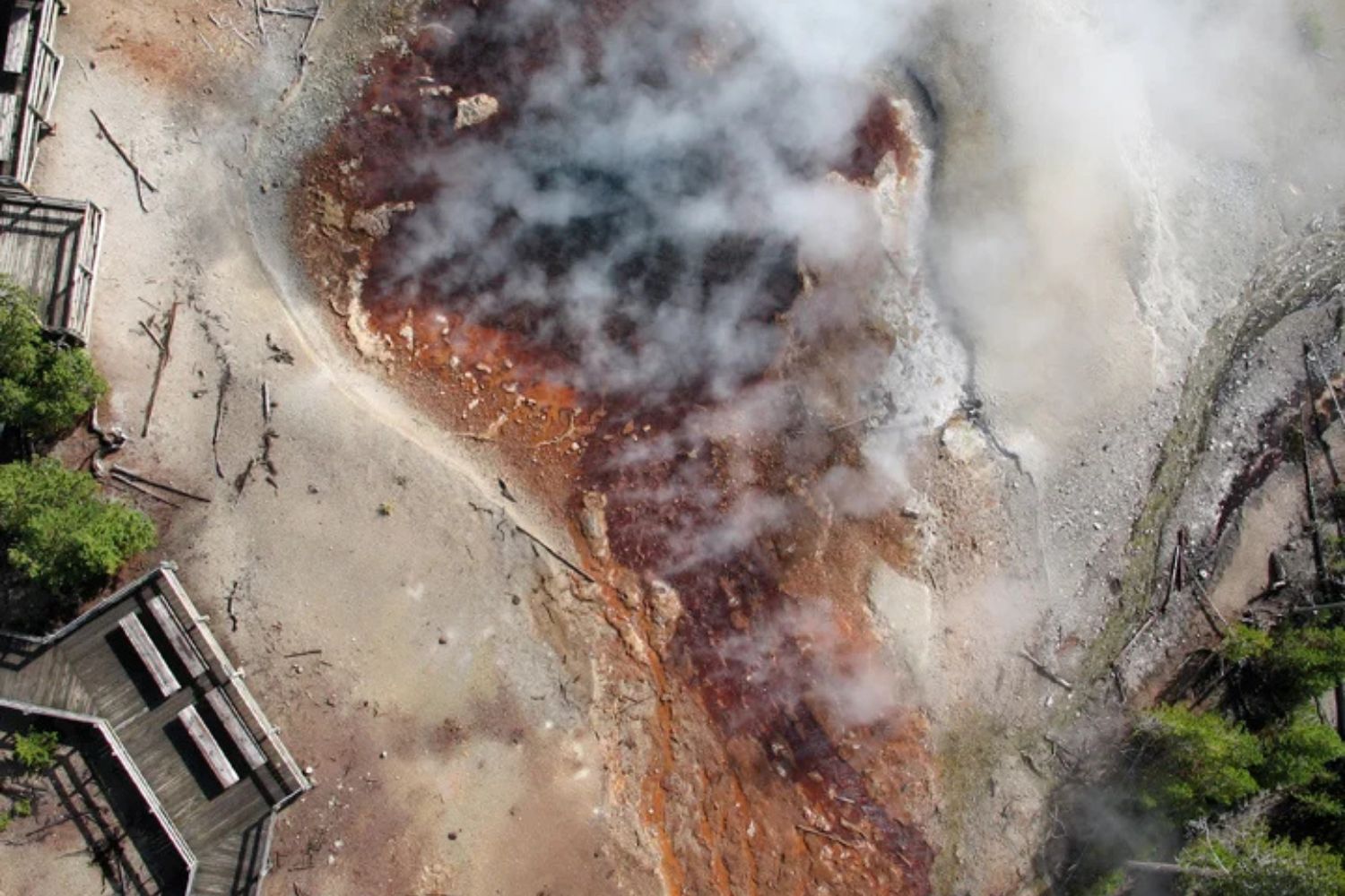 Diseño Sin Título 2026 03 05t062503.838