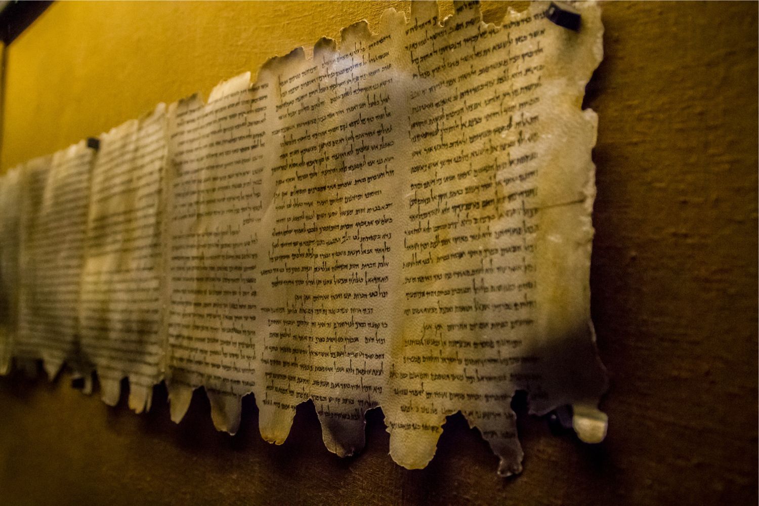 Diseño Sin Título 2026 03 13t095844.214