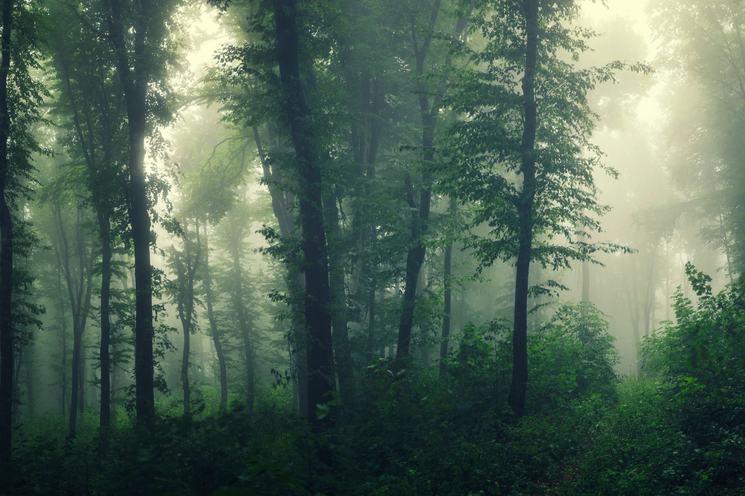 Diseño Sin Título 2026 03 14t145839.298