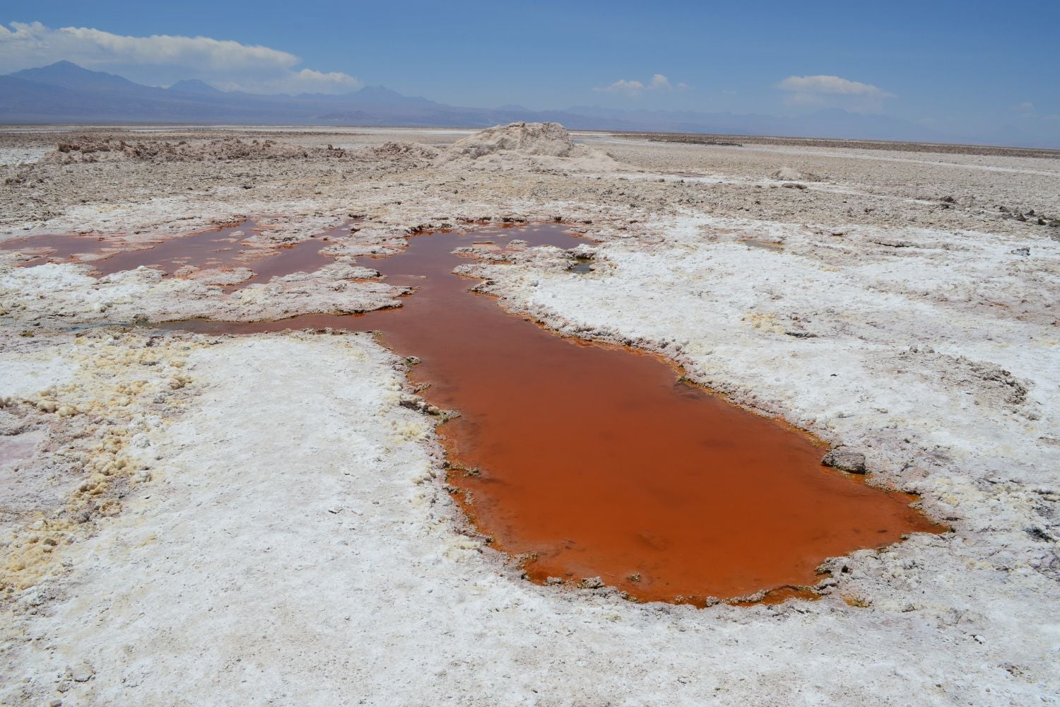 Diseño Sin Título 2026 03 18t081802.677