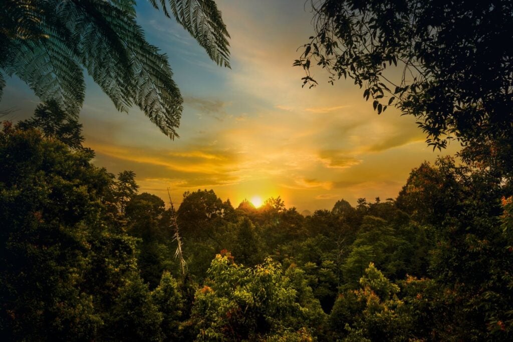 Diseño Sin Título 2026 03 18t090926.439