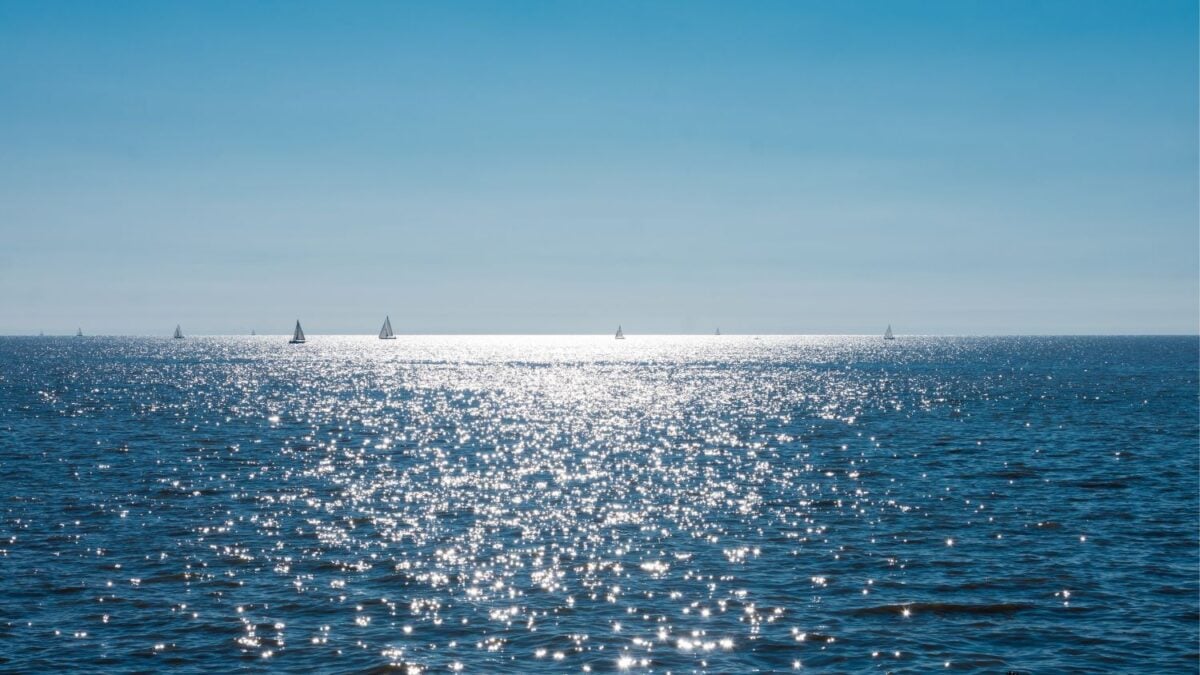 Cruzó el Río de la Plata nadando: Una hazaña, histórica, emotiva, un ejemplo de amor y superación