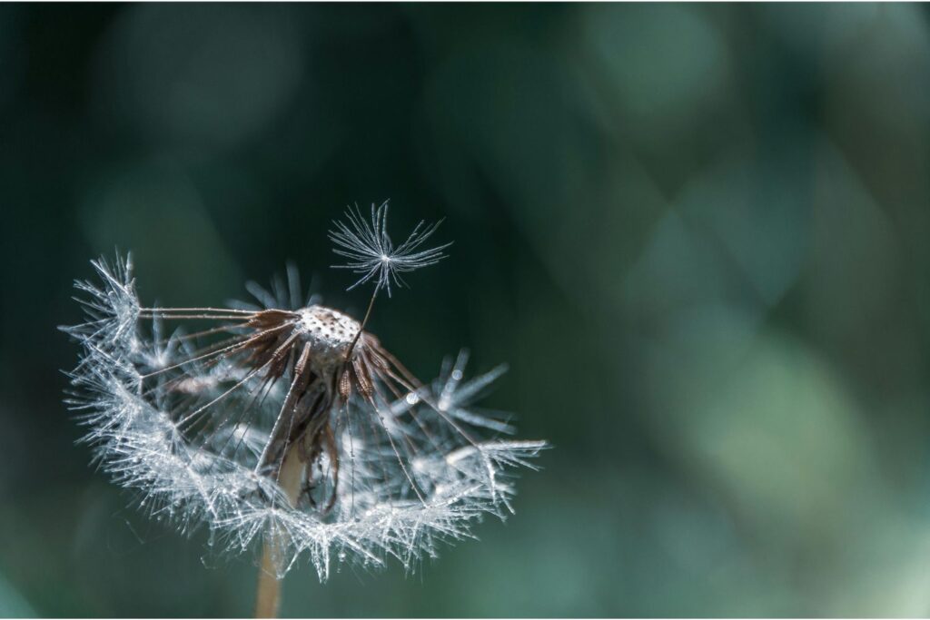 Diseño Sin Título 2026 03 26t125147.482