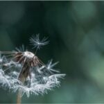 Diseño Sin Título 2026 03 26t125147.482