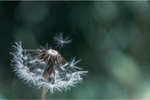 Diseño Sin Título 2026 03 26t125147.482