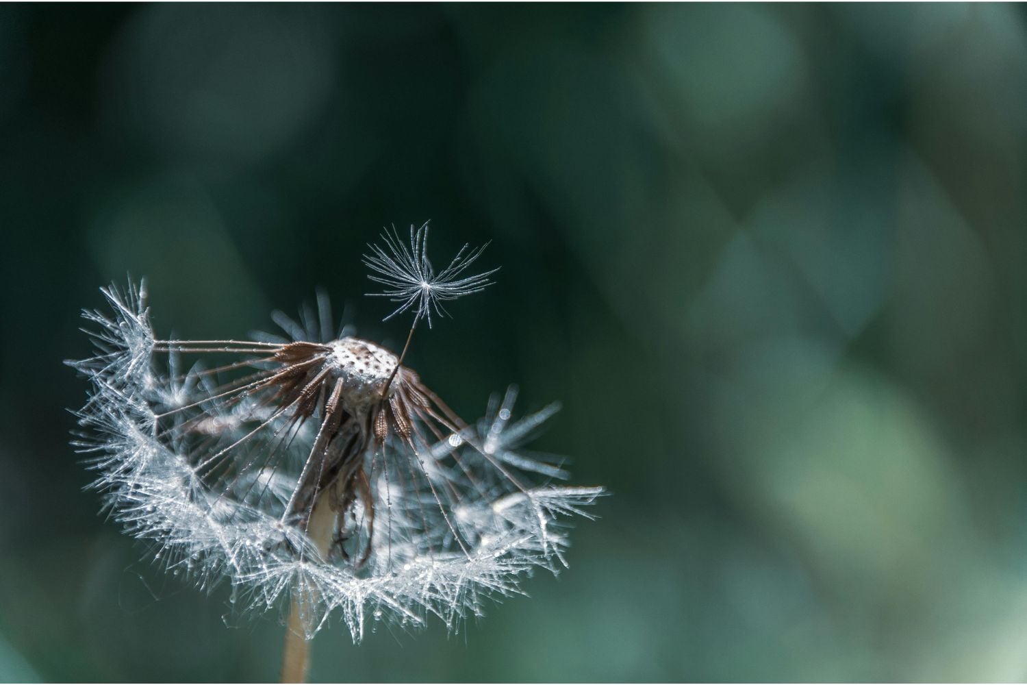 Diseño Sin Título 2026 03 26t125147.482