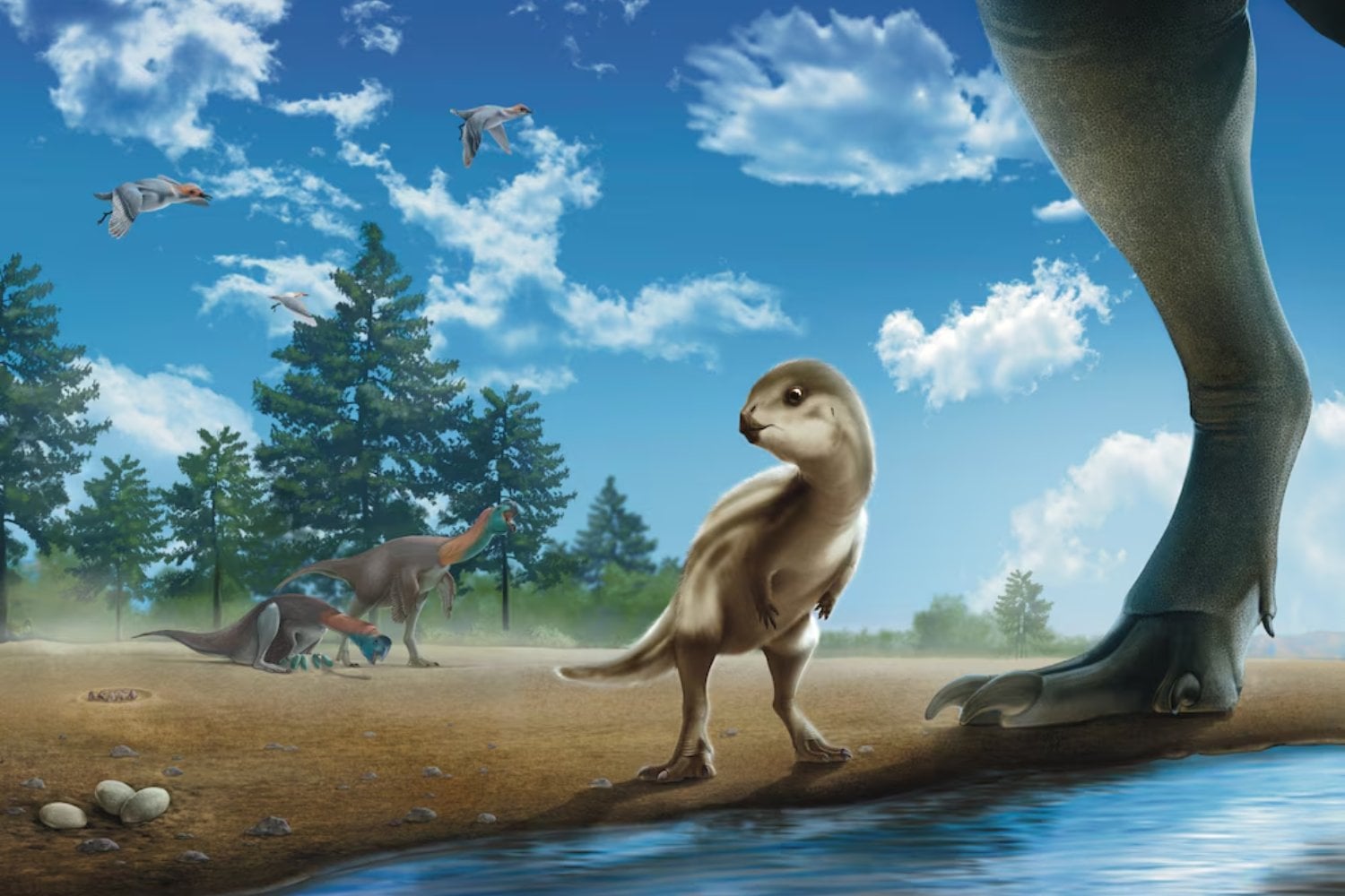 Durante más de 100 millones de años, un pequeño dinosaurio permaneció oculto dentro de una roca en Corea del Sur. La tecnología acaba de revelar su identidad y lo que dice sobre un ecosistema perdido