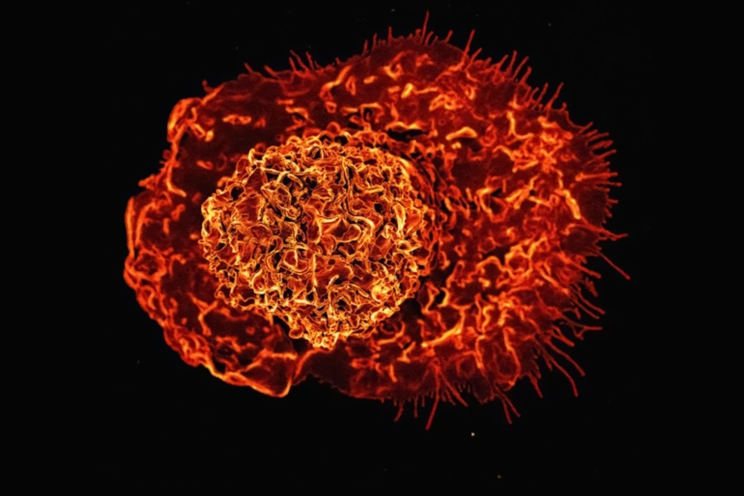 La vida no se volvió compleja por azar, sino porque no tenía otra salida. Un estudio premiado propone que la evolución cambió de “sistema operativo” tras chocar contra un límite físico invisible