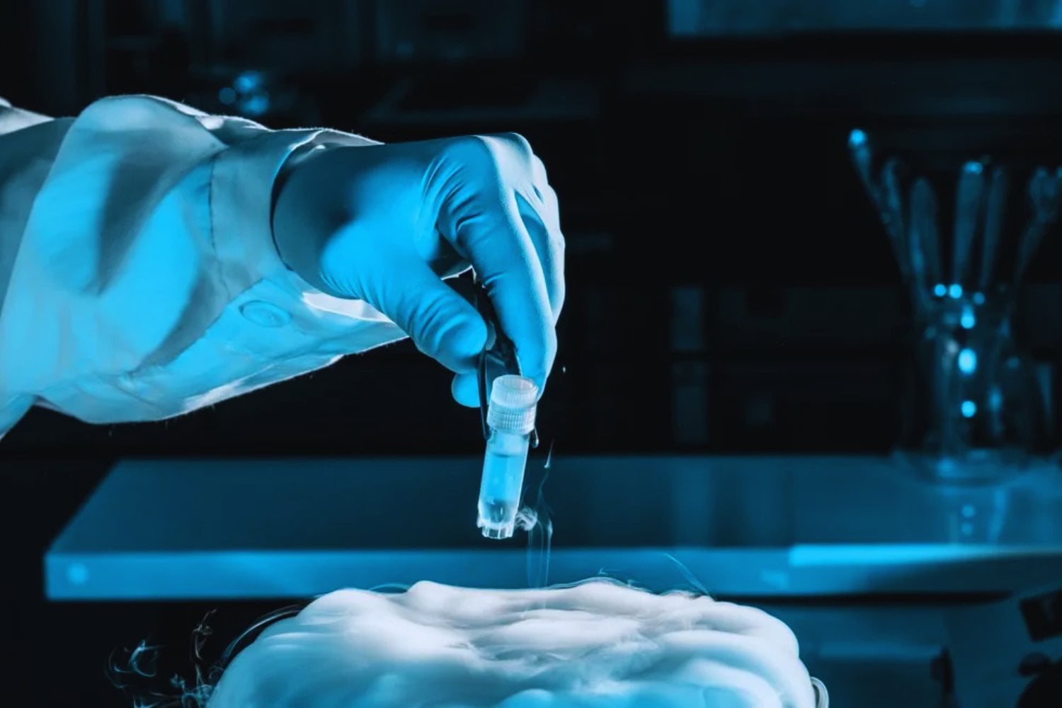 Lo que parecía ciencia ficción acaba de dar un paso incómodo hacia la realidad. Un equipo alemán logró que tejido cerebral de ratón recuperara actividad funcional tras haber sido vitrificado a -196 °C