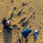 En el sur de Francia han encontrado mucho más que huevos fosilizados de dinosaurio. Han desenterrado el lugar al que distintas especies regresaban para reproducirse hace 70 millones de años