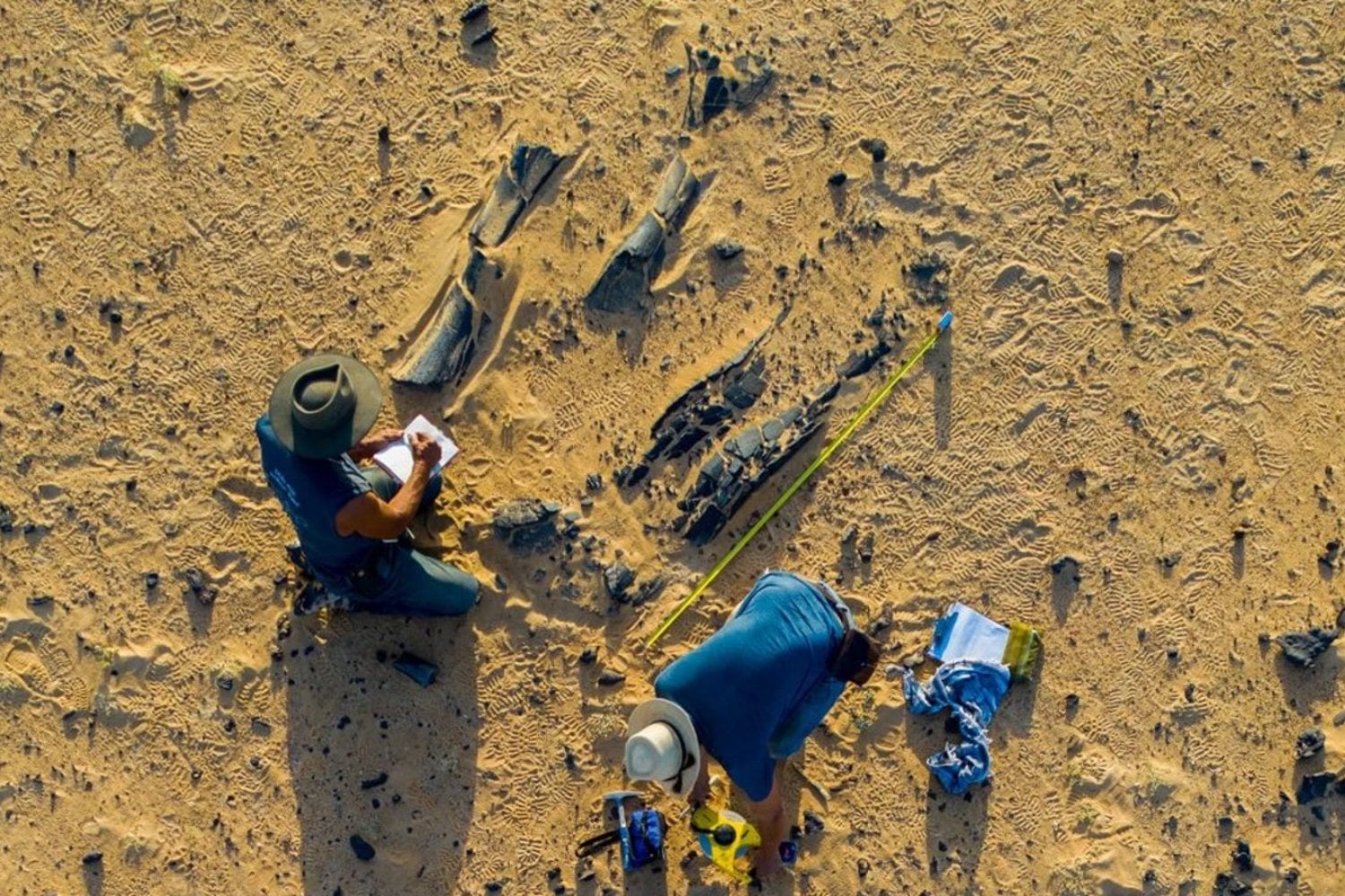 En el sur de Francia han encontrado mucho más que huevos fosilizados de dinosaurio. Han desenterrado el lugar al que distintas especies regresaban para reproducirse hace 70 millones de años