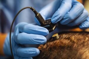 China no quiere quedarse fuera de la tecnología más inquietante del futuro. Mientras todos miran la inteligencia artificial, ya está acelerando con implantes cerebrales propios