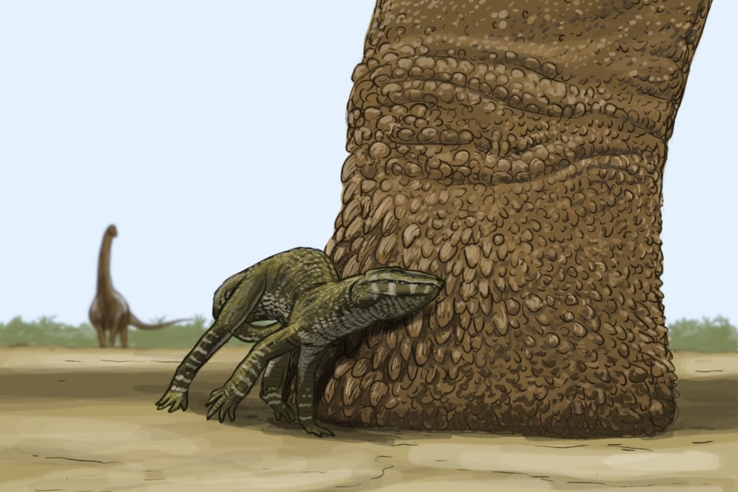 Hace 120 millones de años Brasil y Europa no estaban tan aislados como pensamos. Un nuevo dinosaurio sugiere rutas de migración entre continentes