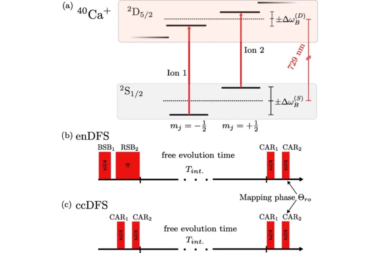 El entrelazamiento cuántico deja de ser una rareza teórica y entra en el laboratorio del tiempo. Dos iones atrapados han logrado superar el límite clásico de estabilidad en relojes ópticos