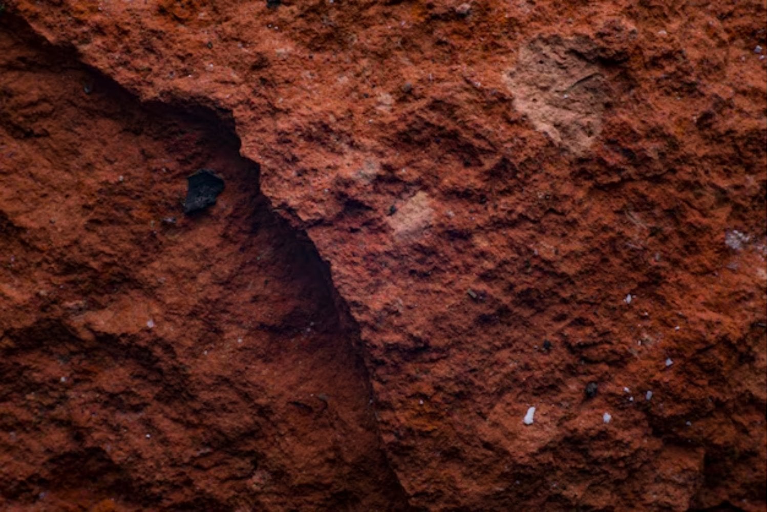 La gran pregunta no es solo cómo vamos a llegar a Marte, sino cómo vamos a vivir allí. Y una de las respuestas más serias hasta ahora incluye ladrillos hechos con orina