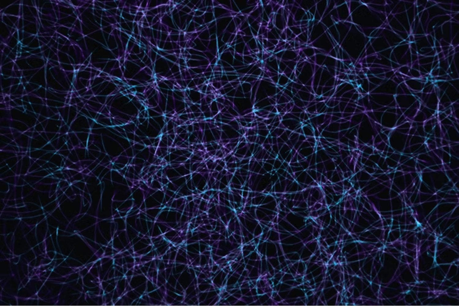 La neurociencia confirma cuál es la mejor “gasolina” para fabricar nuevas neuronas en el cerebro. Y no está en una pastilla, sino en algo tan simple como hacer ejercicio