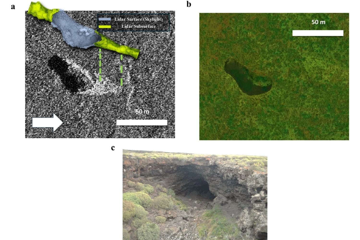Los científicos acaban de encontrar algo que llevaban décadas buscando en Venus. Un reanálisis de los datos de la sonda Magellan revela la primera gran cueva volcánica detectada bajo la superficie del planeta