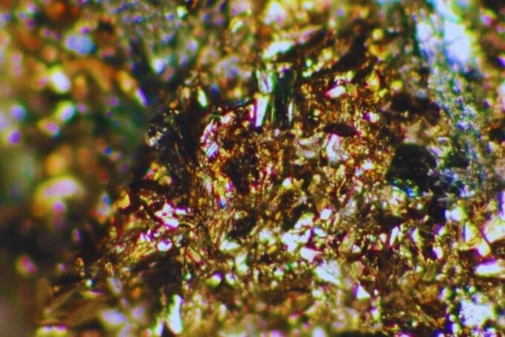 Las muestras del asteroide Ryugu esconden una pista inesperada sobre el nacimiento del sistema solar. Su magnetismo conserva un registro de hace más de 4.500 millones de años