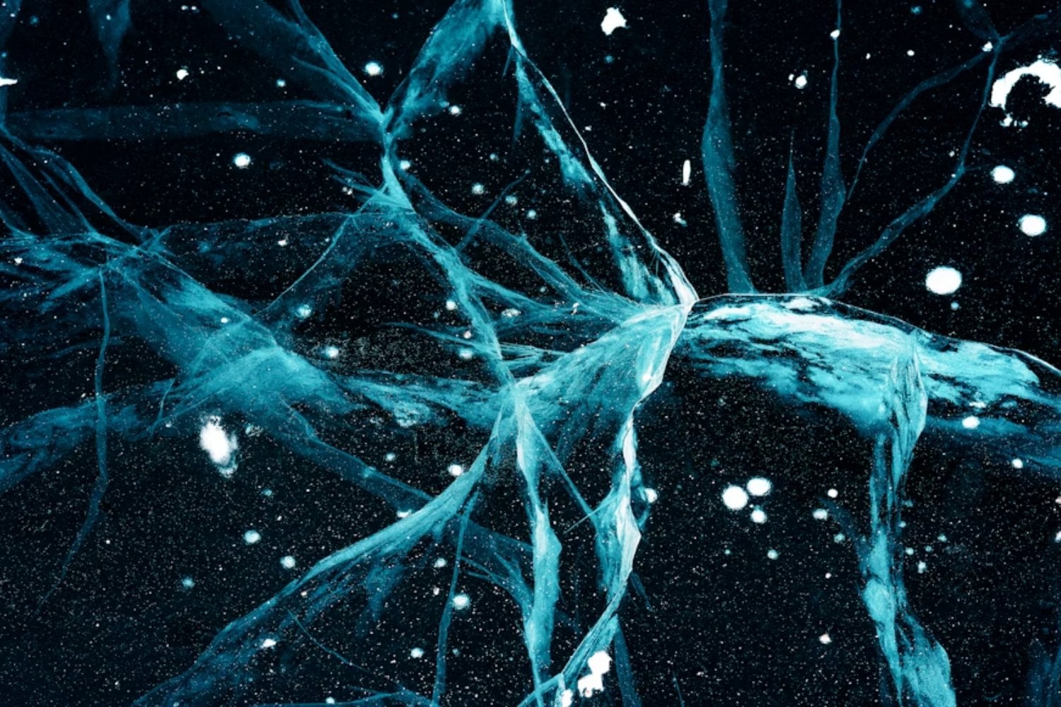 La neurociencia confirma cuál es la mejor “gasolina” para fabricar nuevas neuronas en el cerebro. Y no está en una pastilla, sino en algo tan simple como hacer ejercicio