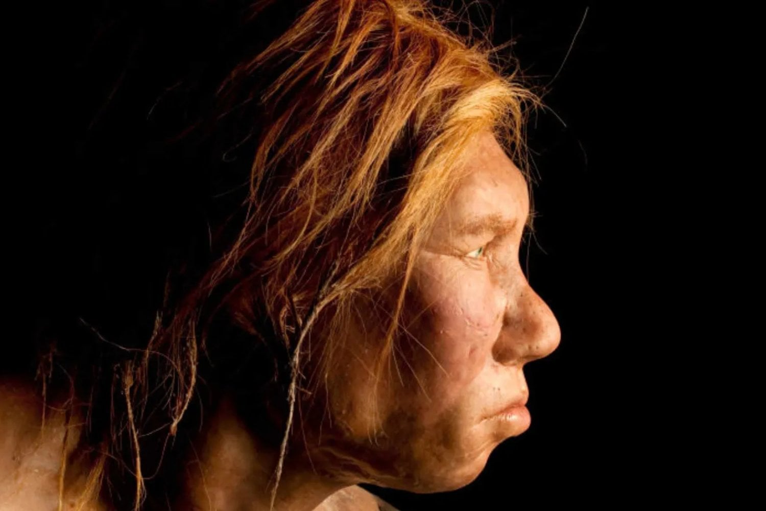 Un modelo científico intenta resolver uno de los grandes misterios de la prehistoria europea. El noroeste de España aparece como el lugar donde neandertales y humanos modernos pudieron coincidir