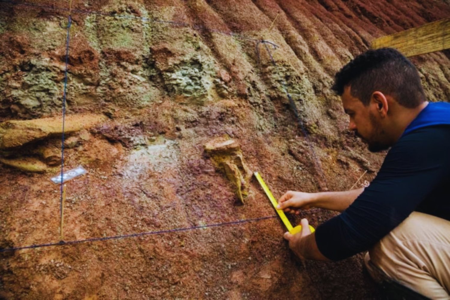 Descubren en Brasil un dinosaurio de 20 metros con un pariente directo en España. La explicación apunta a un mundo donde los continentes aún estaban conectados