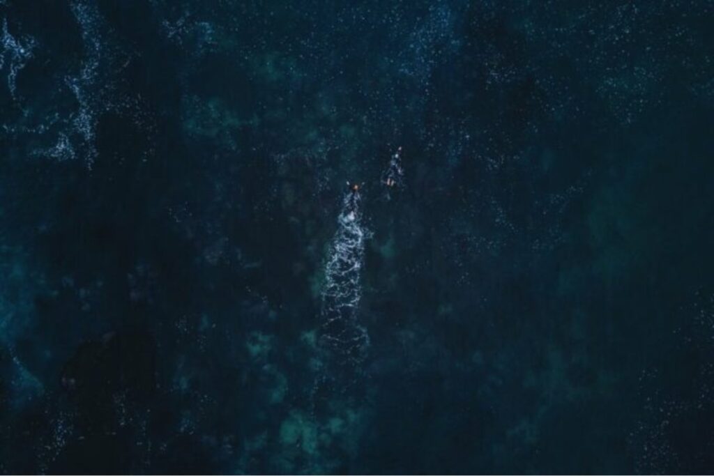 Una expedición japonesa desciende a casi 1.000 metros de profundidad y encuentra una estructura natural que parece un castillo de cristal. En realidad es un raro organismo del océano profundo