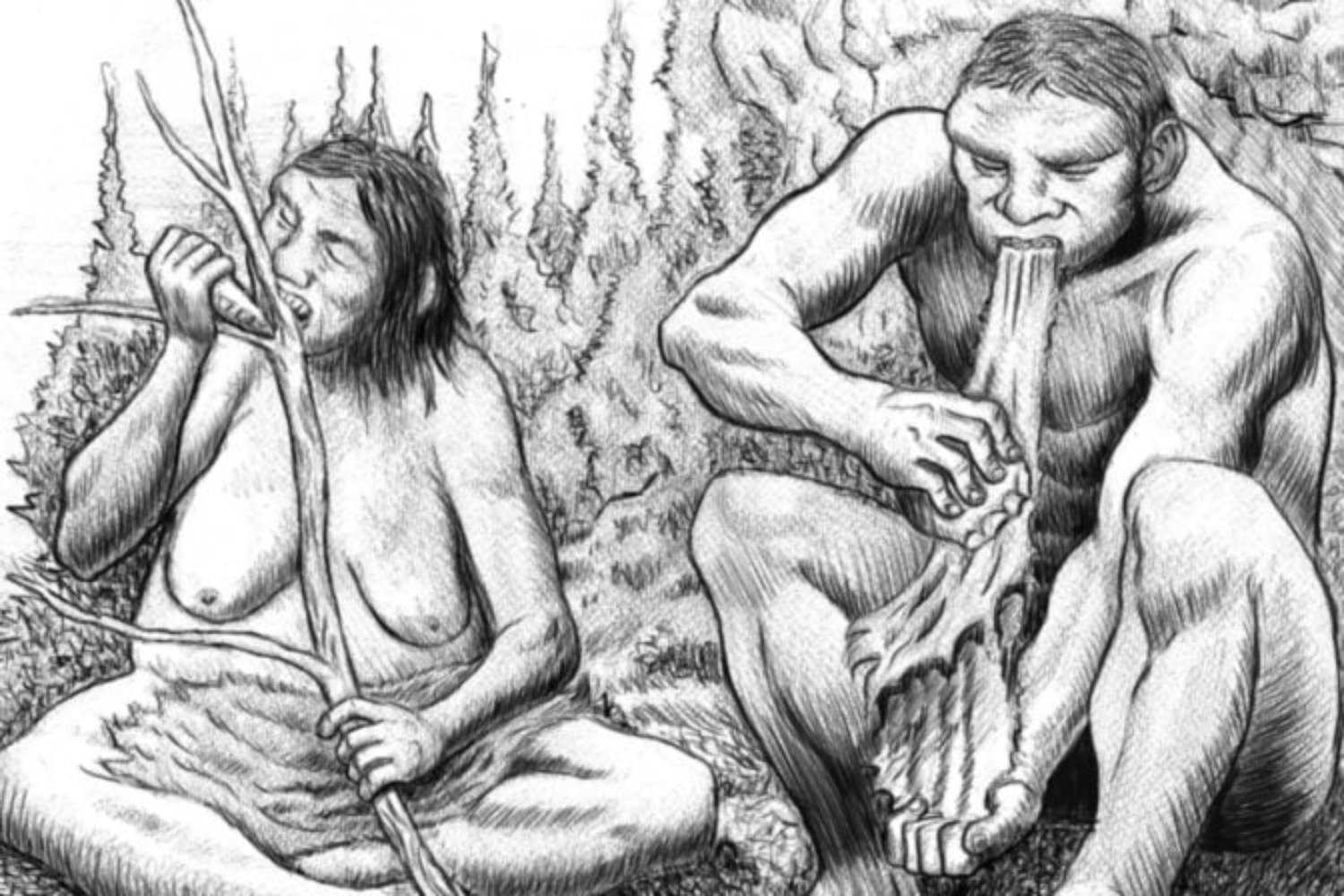 Los neandertales podrían haber fabricado una especie de “antibiótico” hace más de 40.000 años. El problema es que el estudio más llamativo también es bastante más discutible de lo que parece