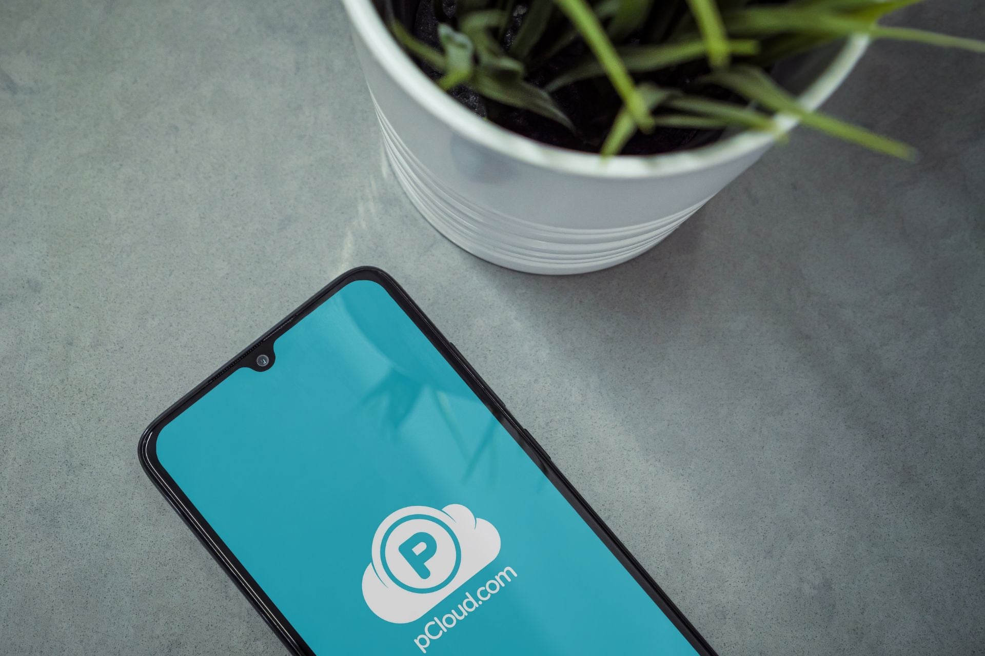 Diseño Sin Título (38)